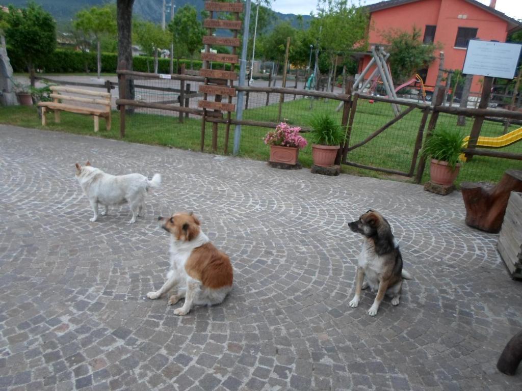 Azienda Agrituristica Pericle Montella Exterior photo