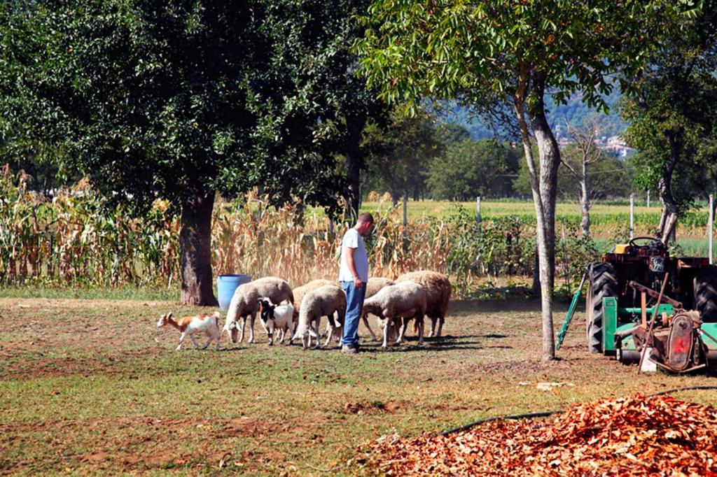 Azienda Agrituristica Pericle Montella Exterior photo